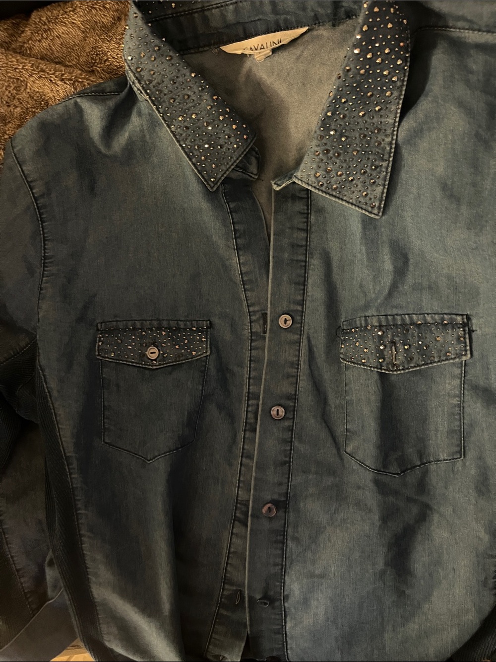 Vavalin Embellished Denim Button-Front Shirt - Blue